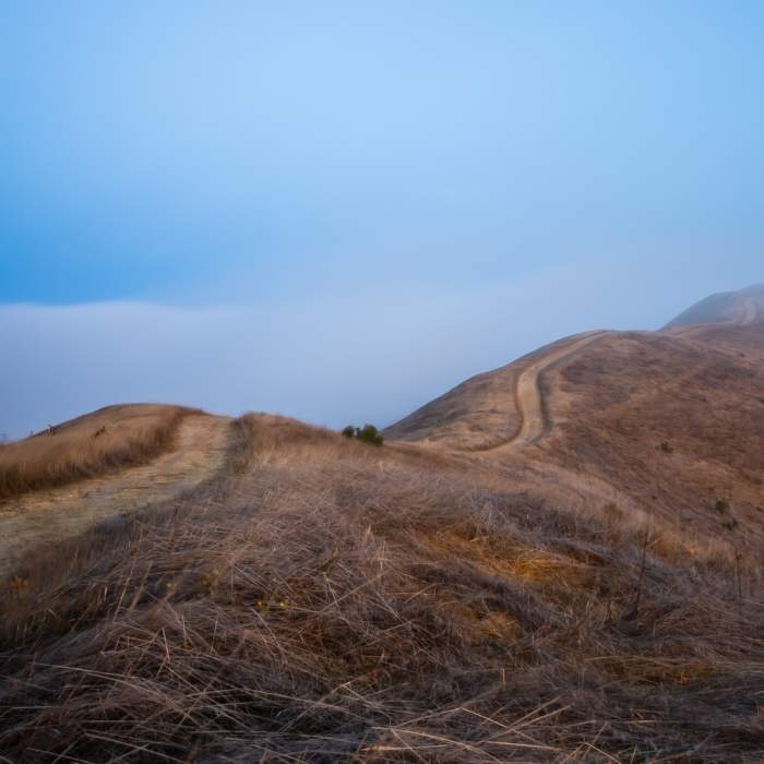 Near Elderberry - Rocky View - Cuestas Loop