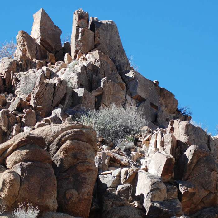 Near Mastodon Peak Trail