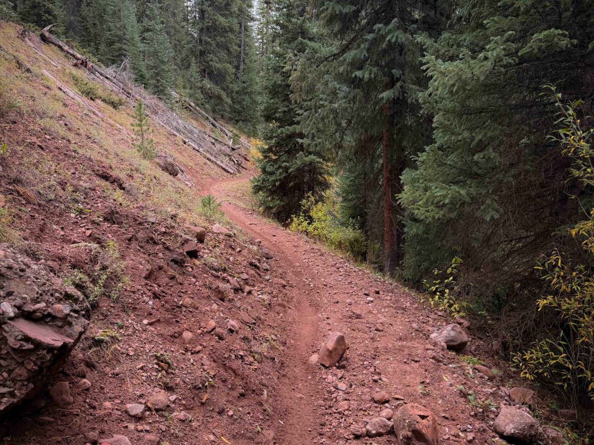 Bear Creek Trail South - FS 415 photo 5