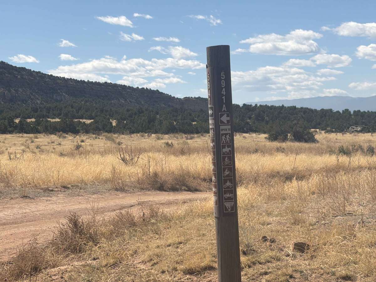 BLM 5941A photo 2