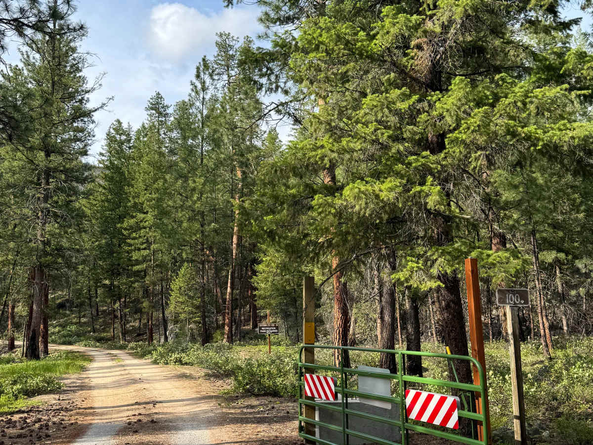 Lake Creek Road - FS 5160-100 trail photo