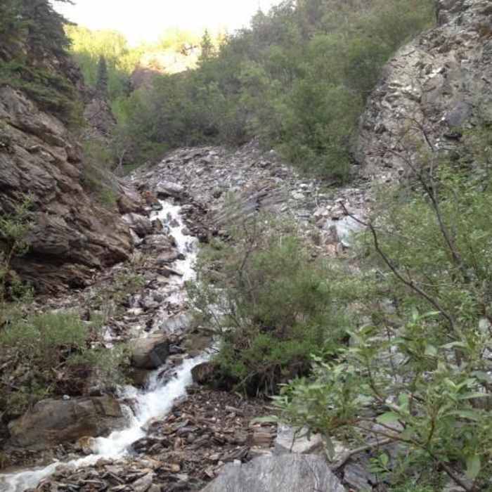 Near Fox Creek Near Fox Creek