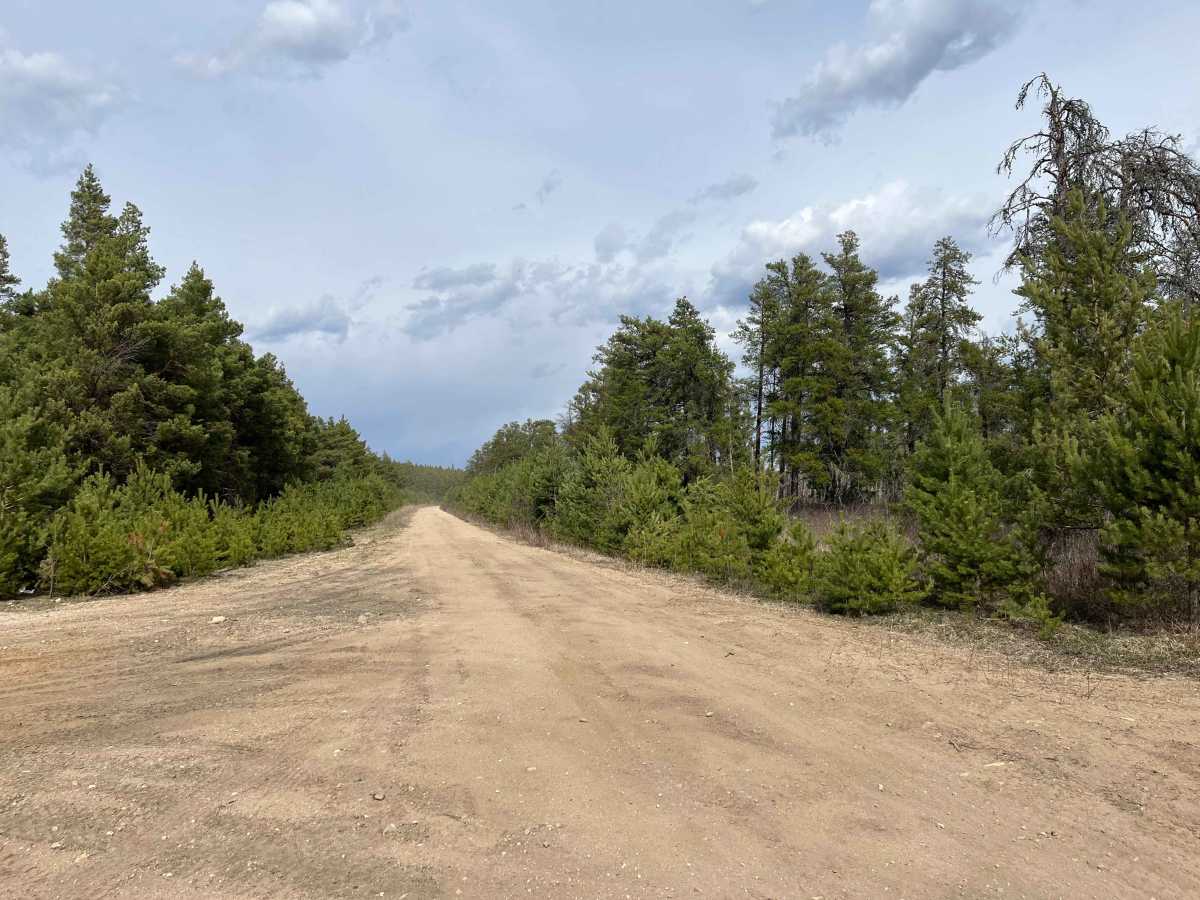 Sandilands Forestry Road 18 photo 5