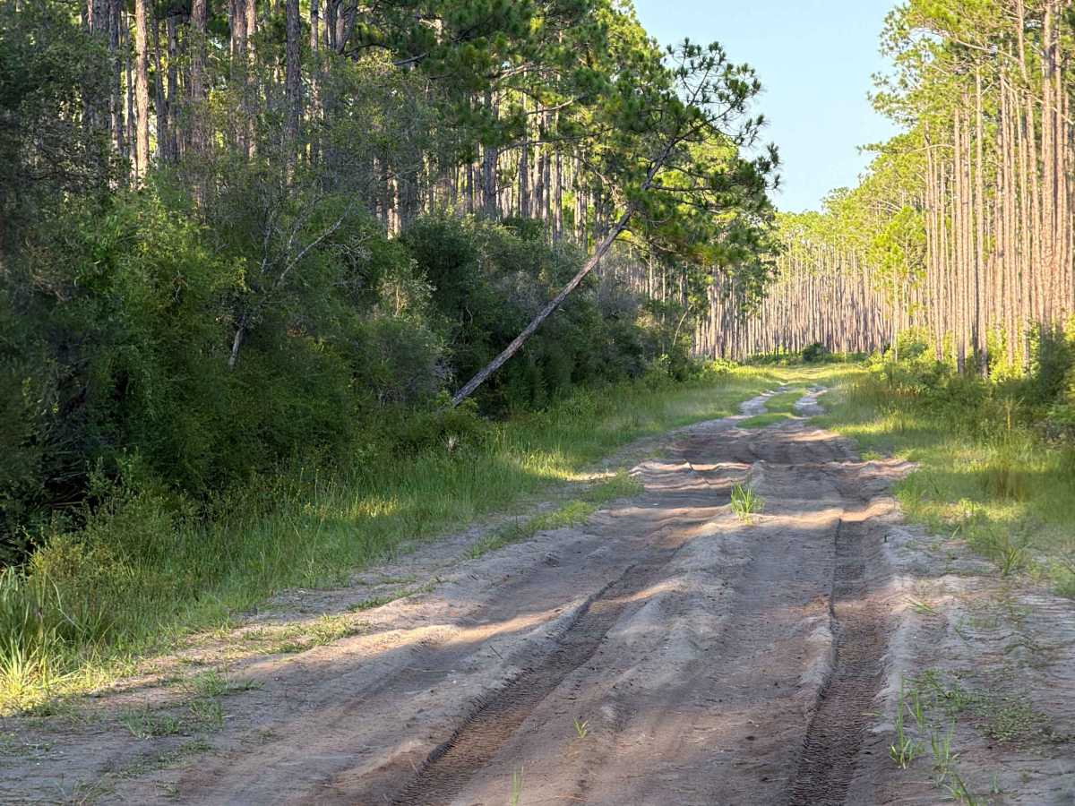 Pidcock Road photo 4