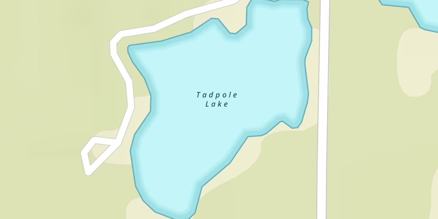 Tadpole Lake