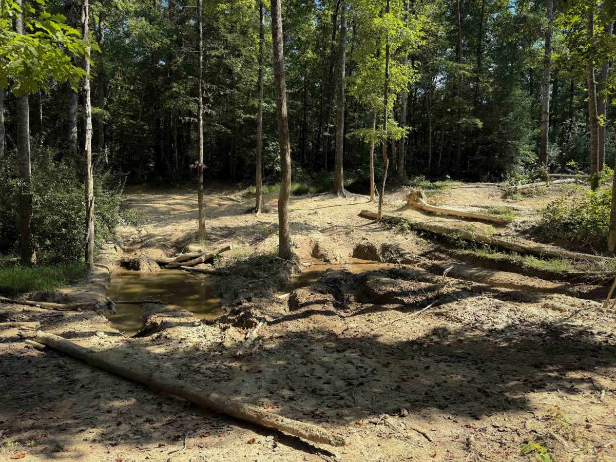 Ollie’s Creek Trail 2  photo 2