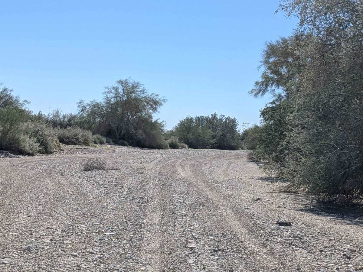 BLM 731 photo 6