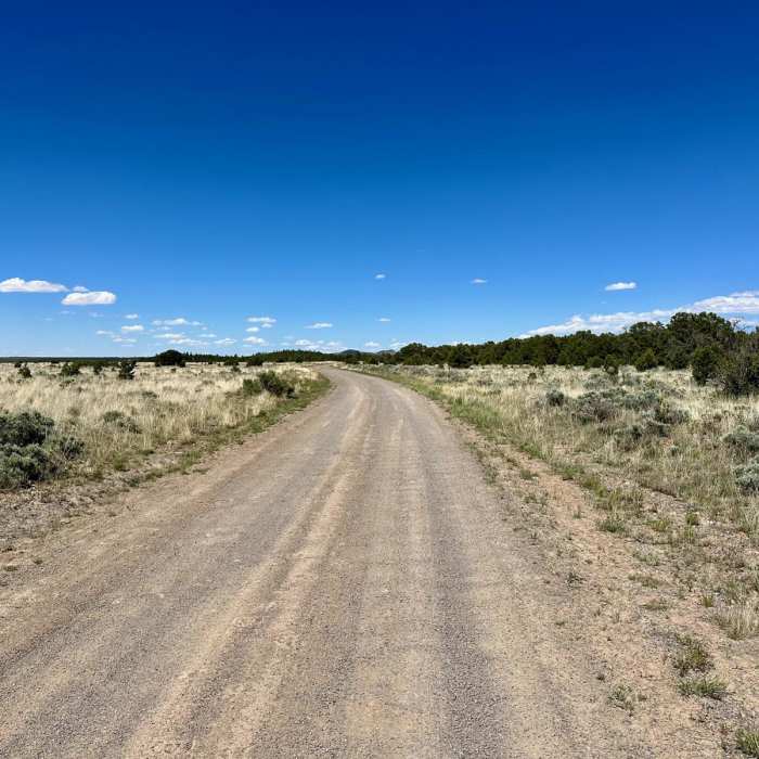 Near CDT: New Mexico Section 22 Near CDT: New Mexico Section 22