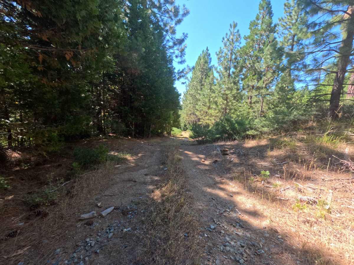 Doe Road - FS 8N02 photo 5