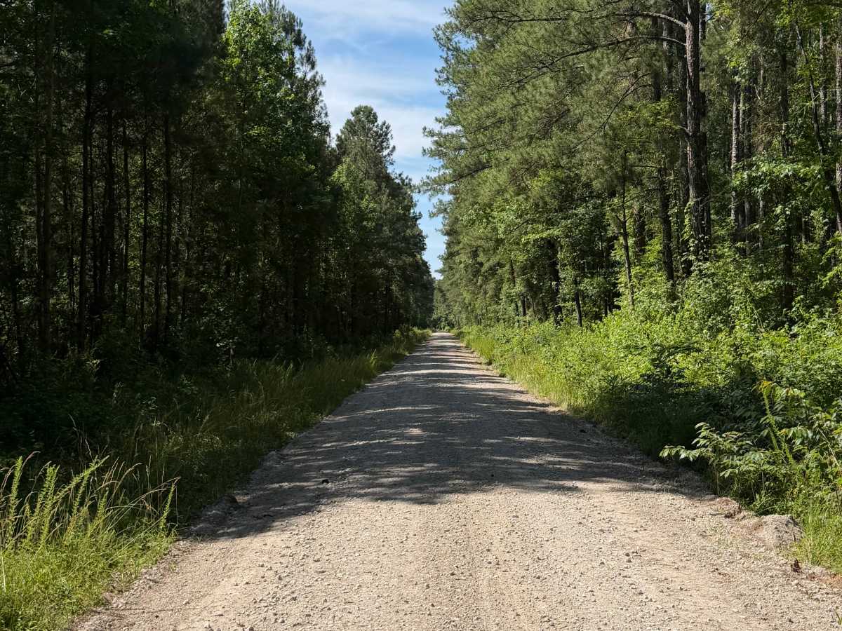 Pine Grove - FS 156 photo 3