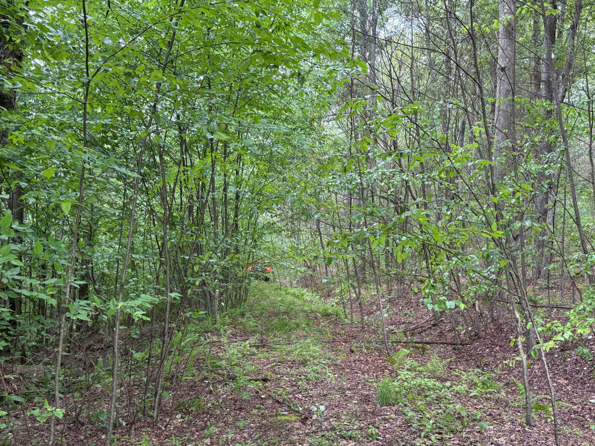 JCRAIG Adventure Trail photo 6