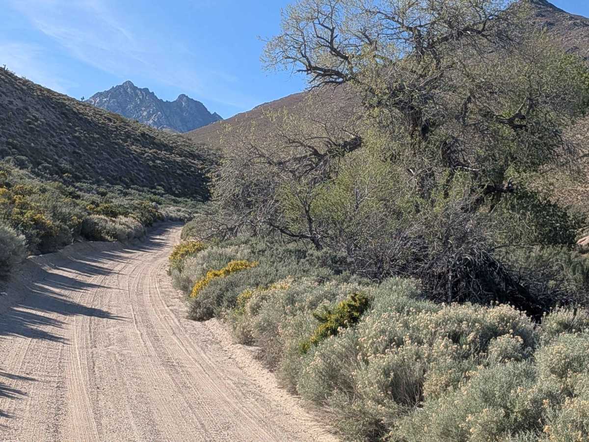Grapevine Canyon Road - BLM SE128 photo 5