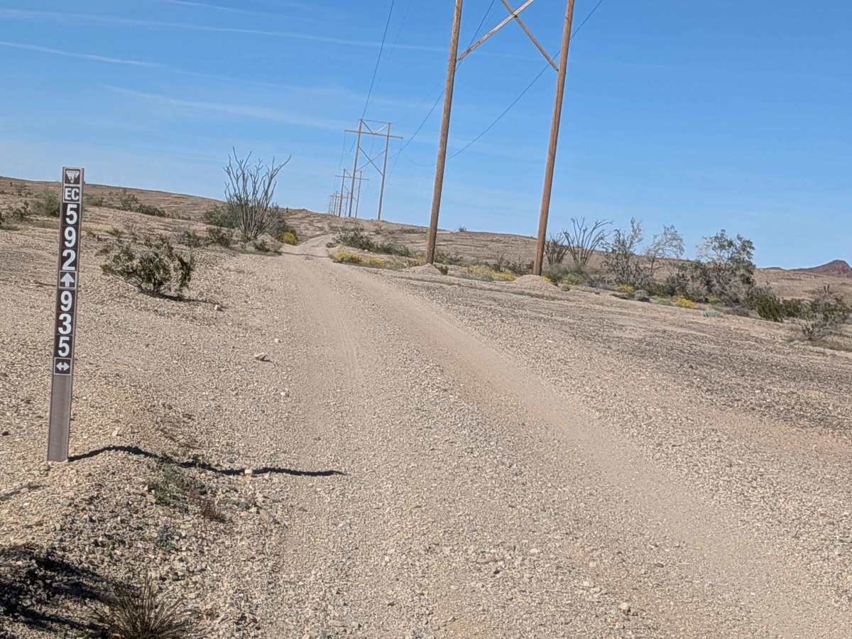 BLM 935 photo 5