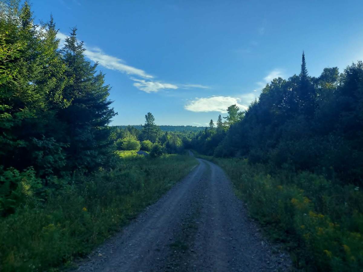 Shaw Camp Road photo 5