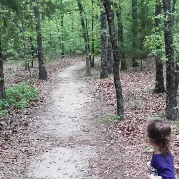 Near White Deer Trail