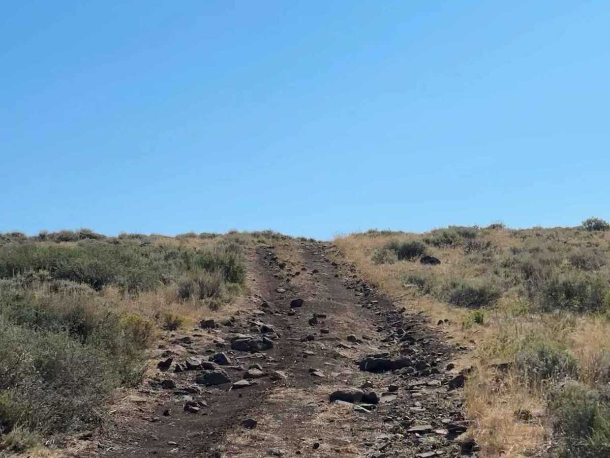 BLM 2759 Cutoff photo 4