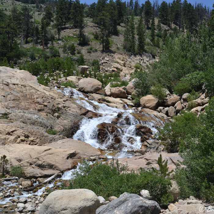 Near Alluvial Fan Trail