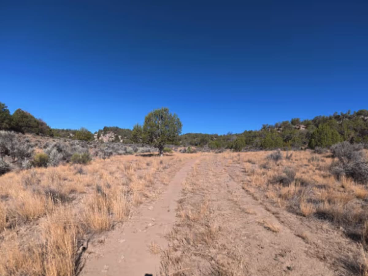 BLM 287A photo 3