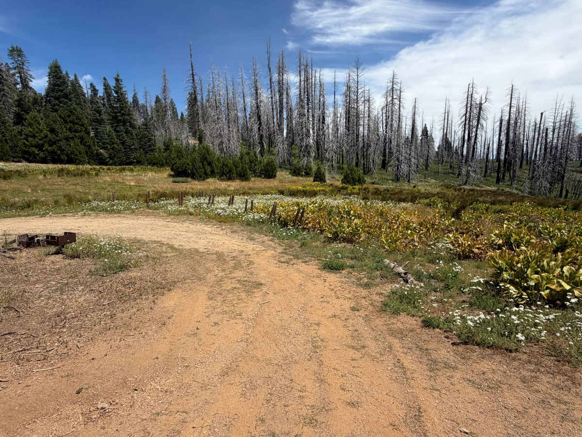 Postpile - FS 24N38 photo 2