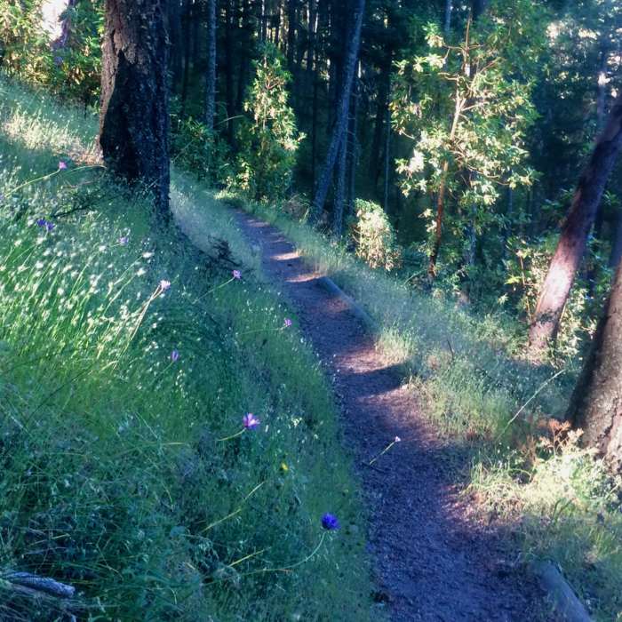 Near White Rabbit Trail