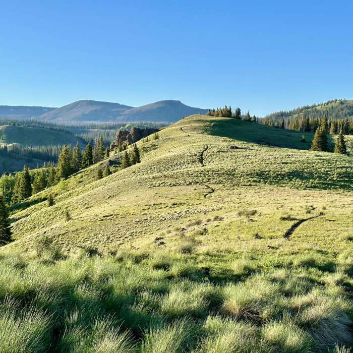 Near Continental Divide Trail: Colorado Section 1