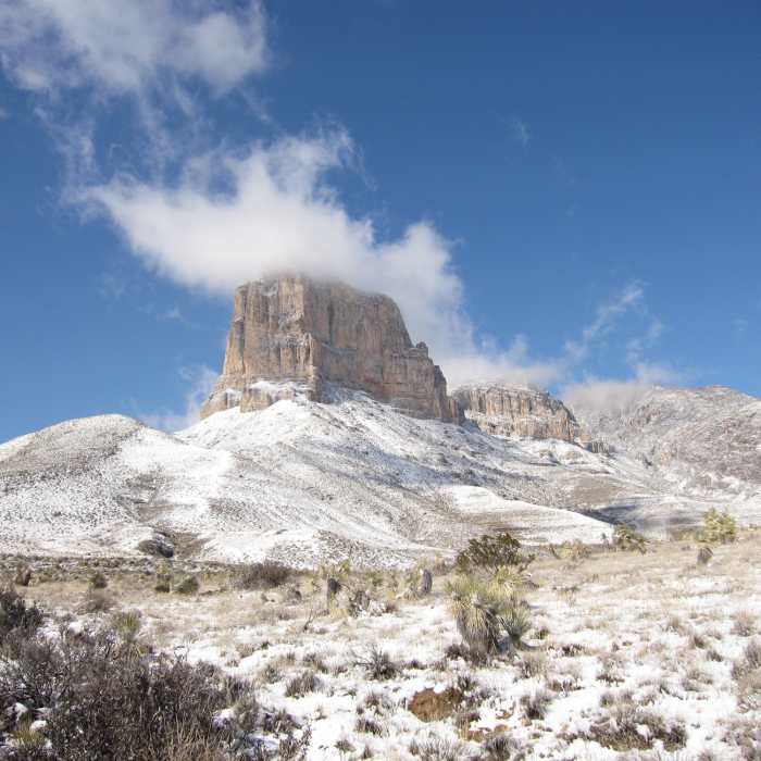 Near El Capitan Trail