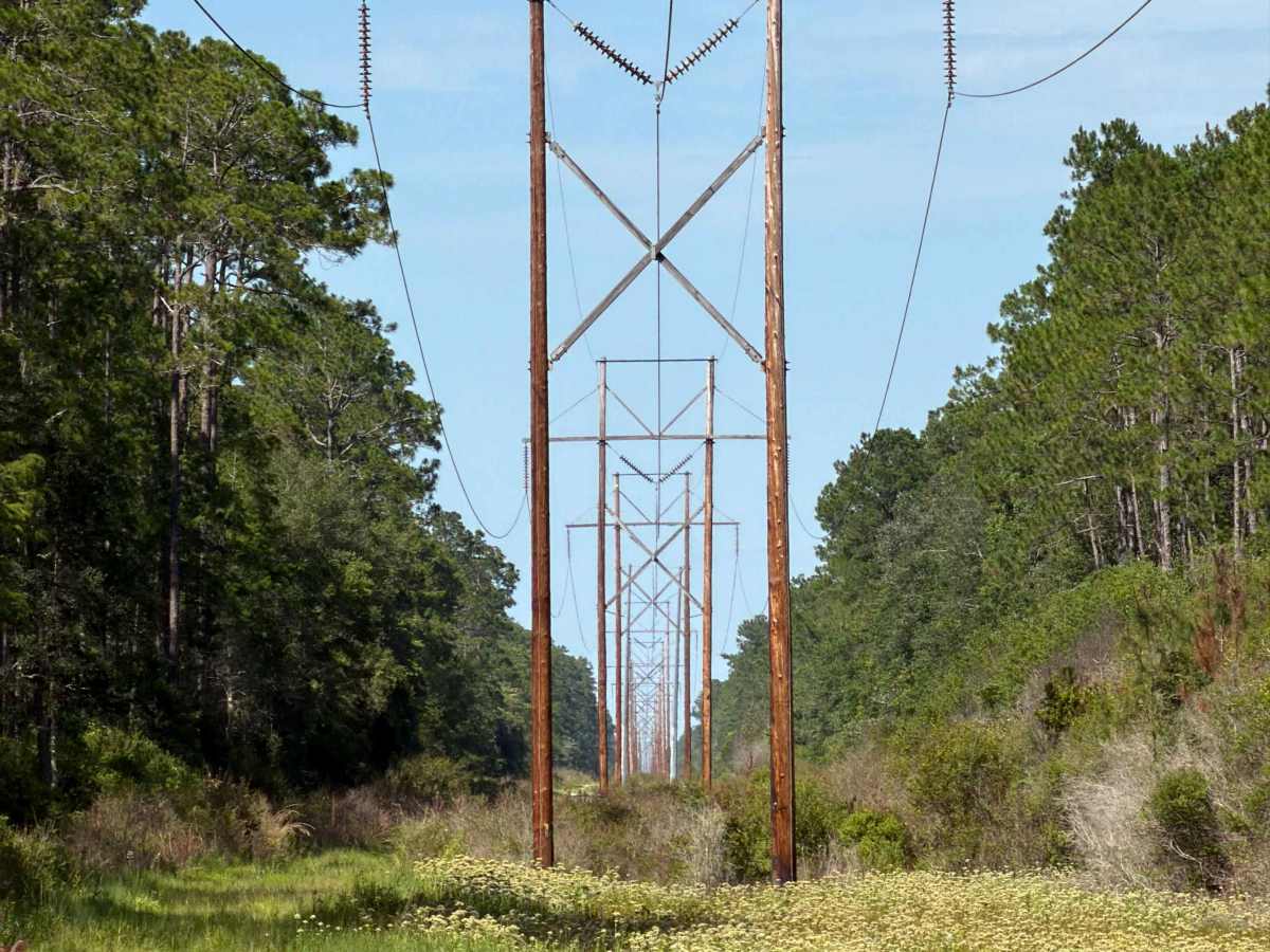 Powerline - FS 341A trail photo