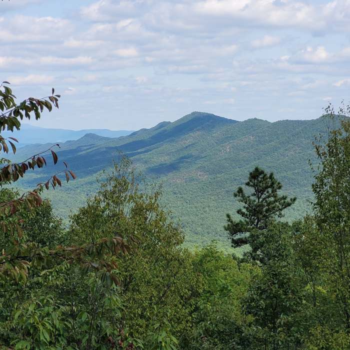 Near Blue Suck Falls Loop