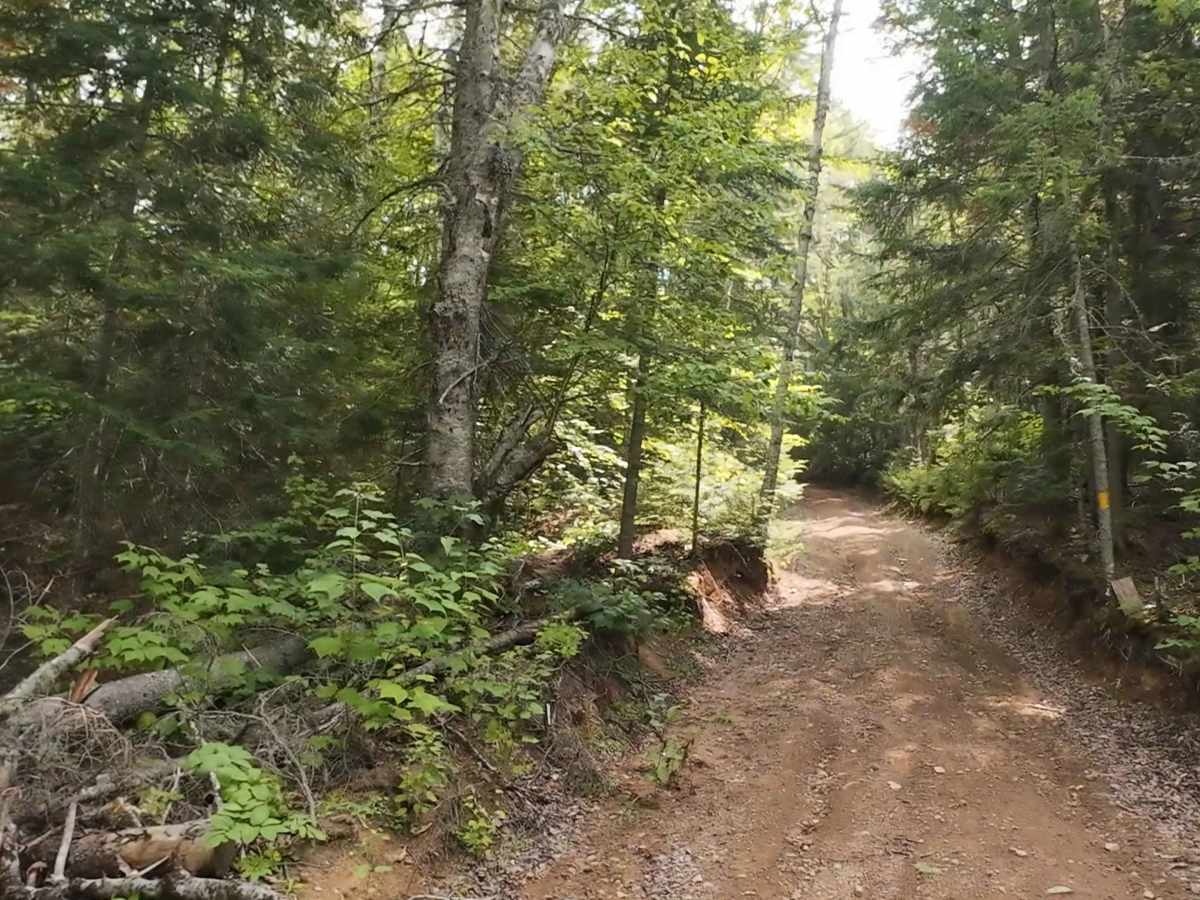 Hayward Pinnacle trail photo