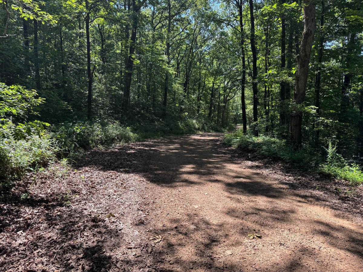 County Road 419 photo 4