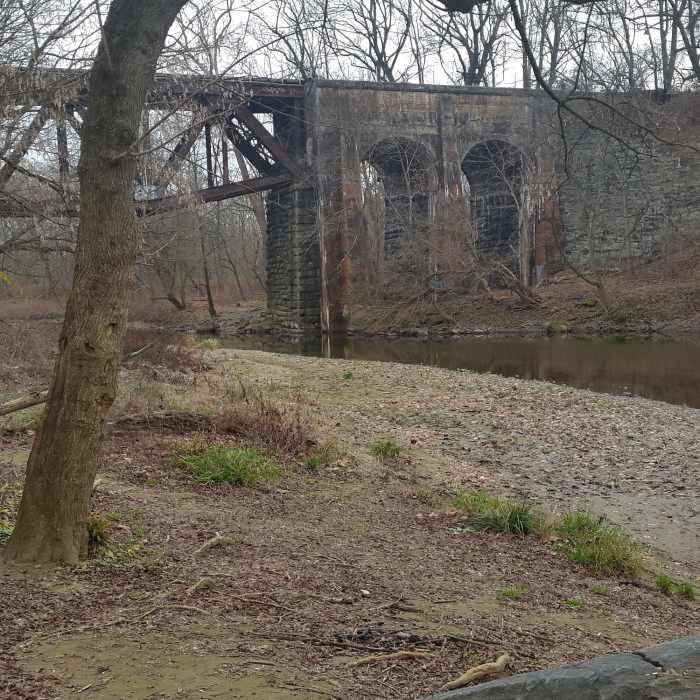 Near Jones Road Trail