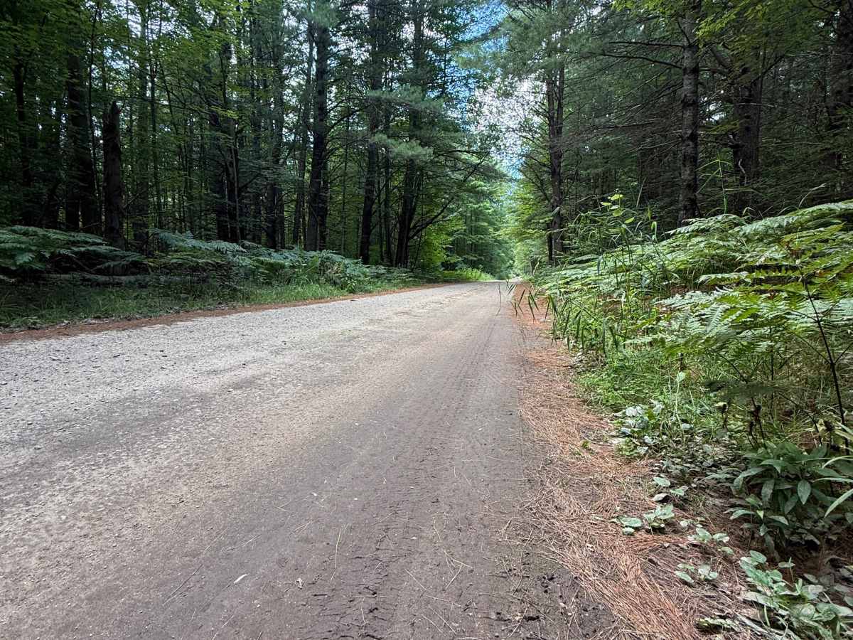 Plagany Trail photo 6