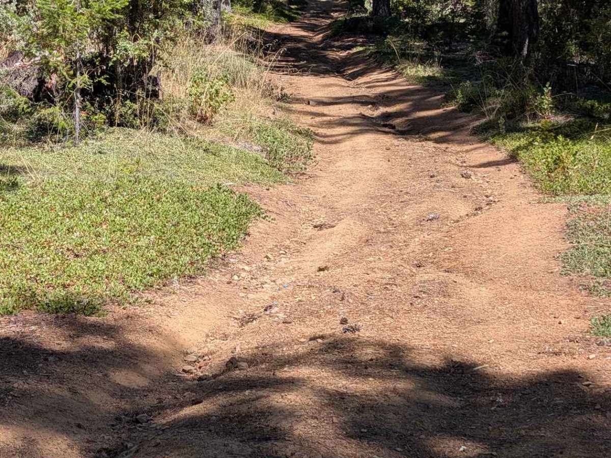 Tule Divide Road - FS 2N53 photo 2