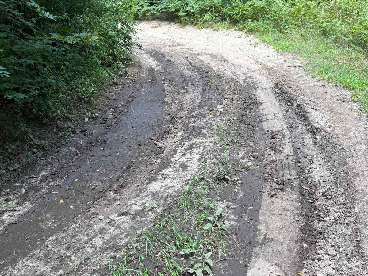 Deer Trail photo 5