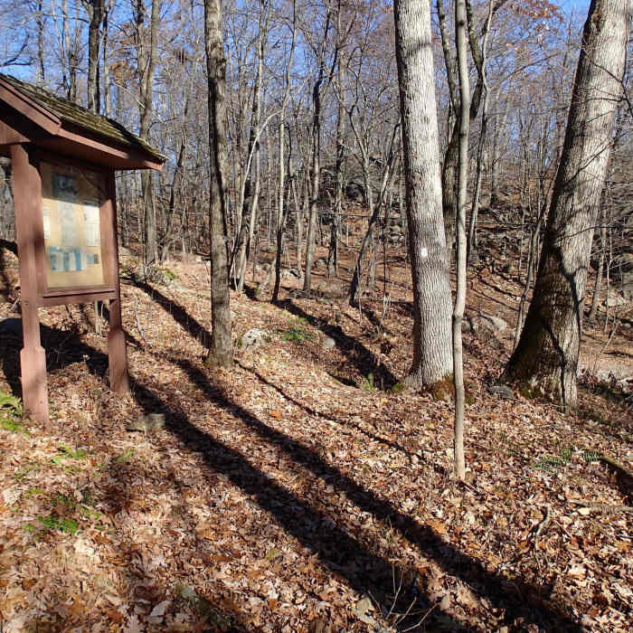 Near Hawks Watch via Wildcat Ridge Trail