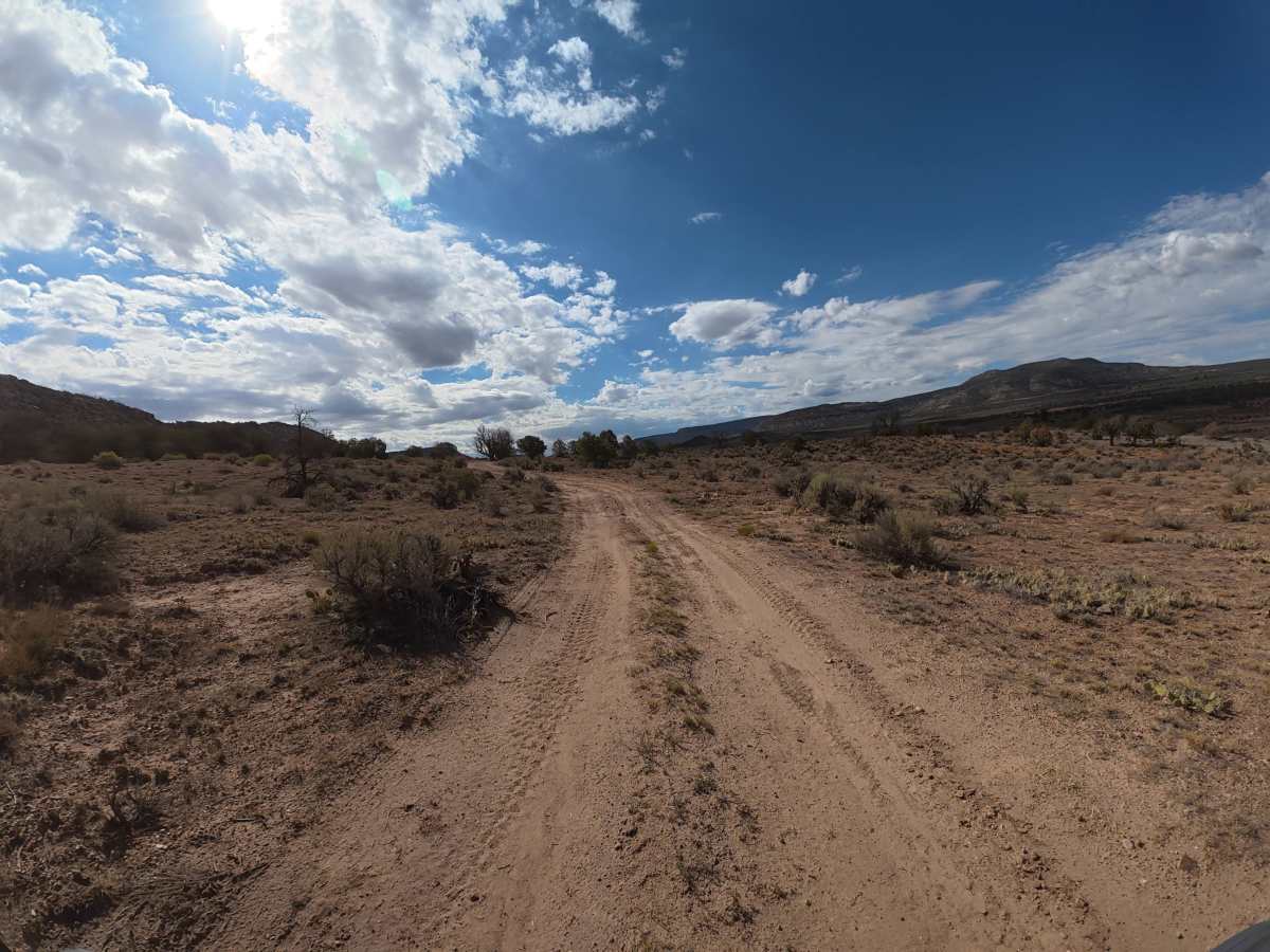 BLM 011 photo 3