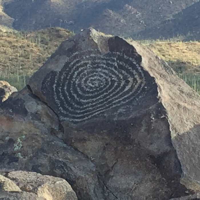 Near Cactus Wren Trail
