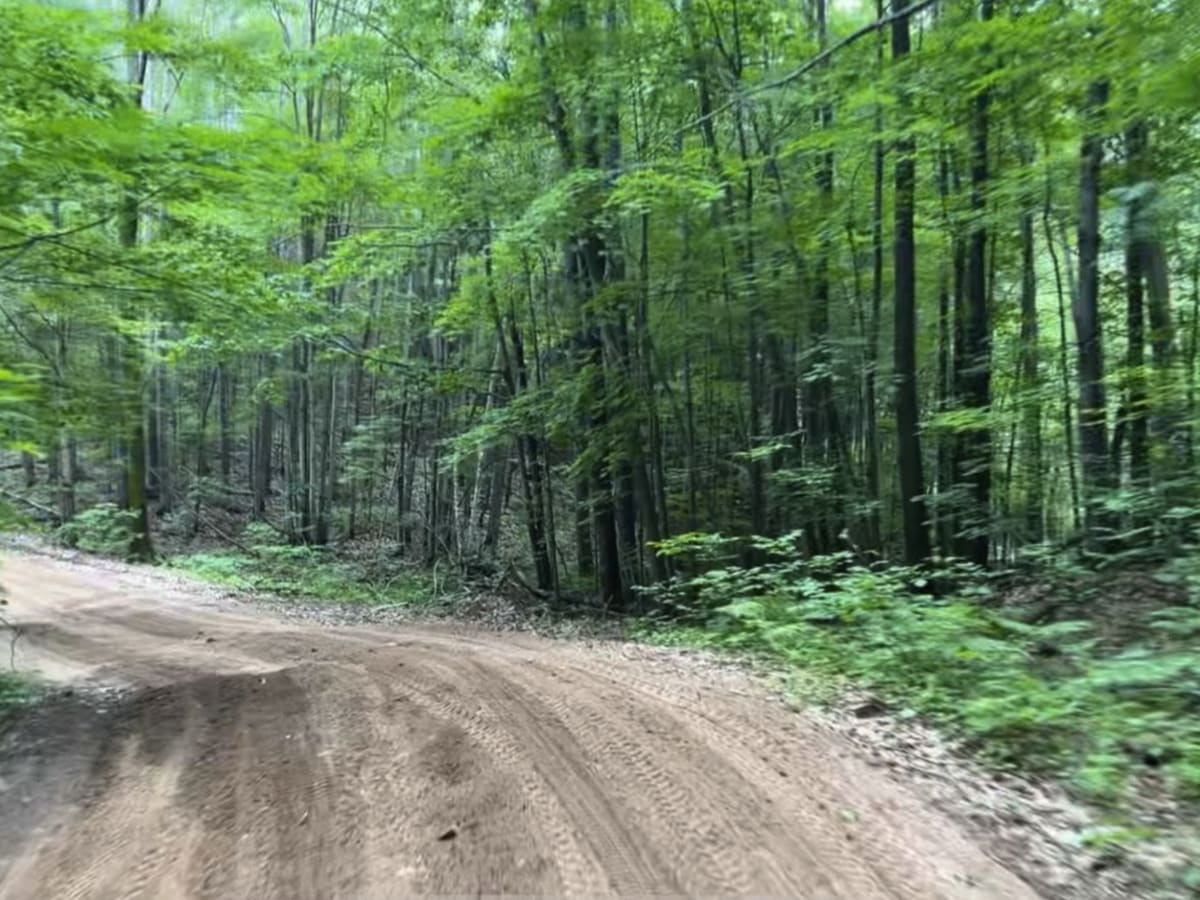 Harrison Hills ATV West Branch photo 3
