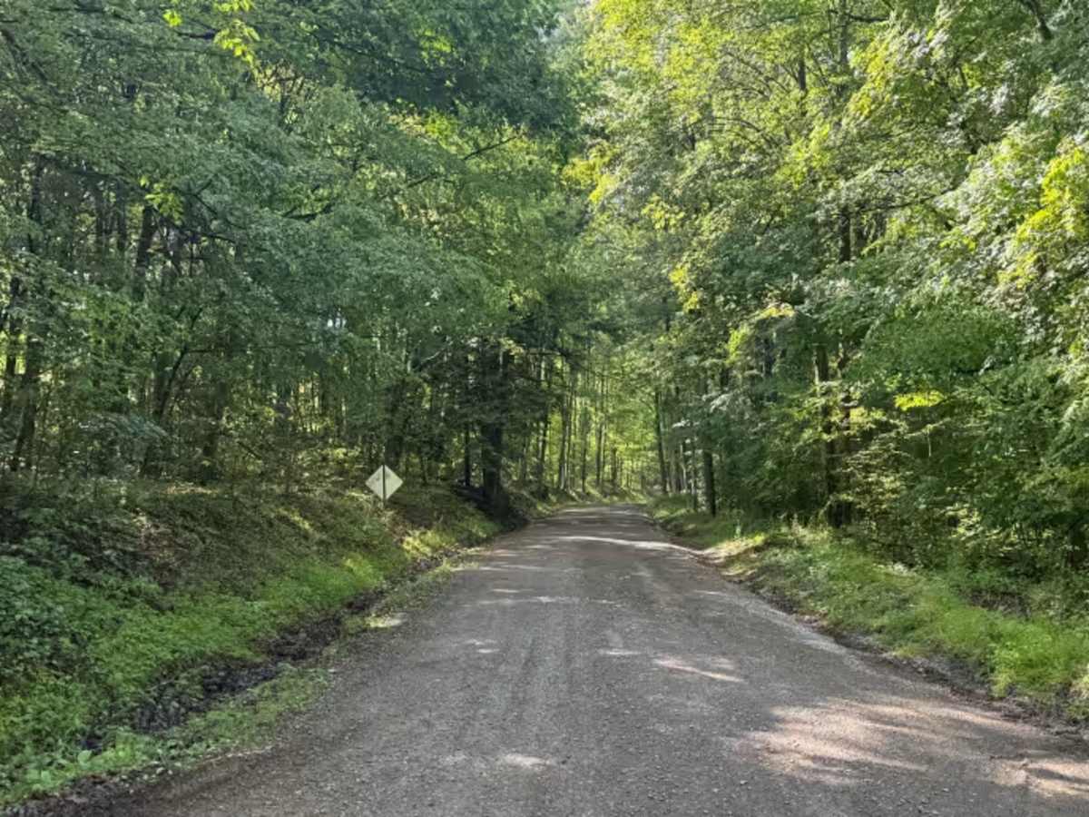 Cross PA Adventure Trail - FS 85110 photo 4