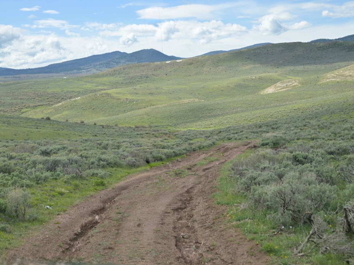 Bull Spring - FS 10578 photo 6