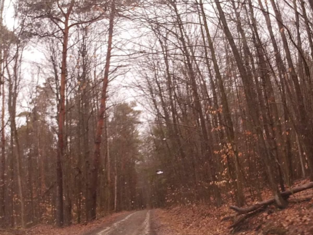 Hammond Hill Track photo 3