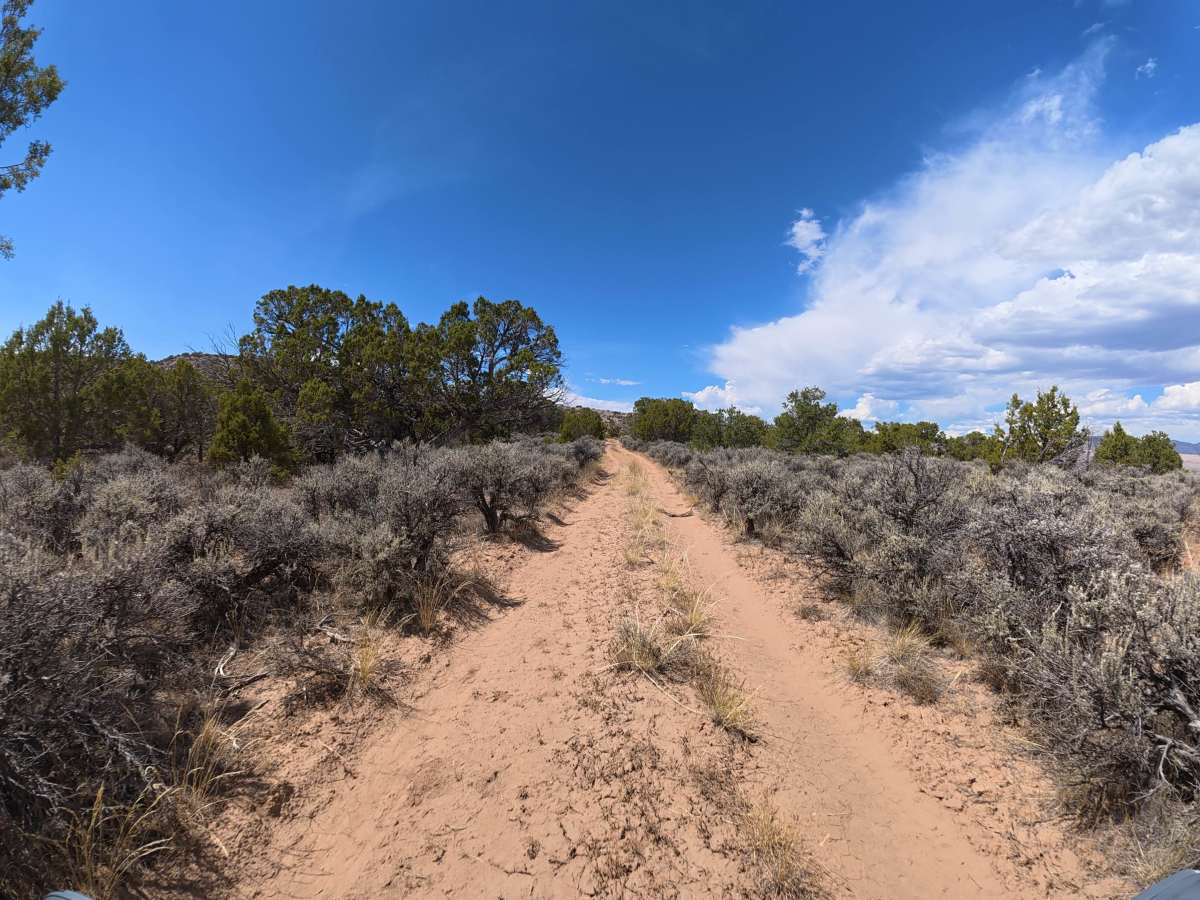BLM 289 photo 4