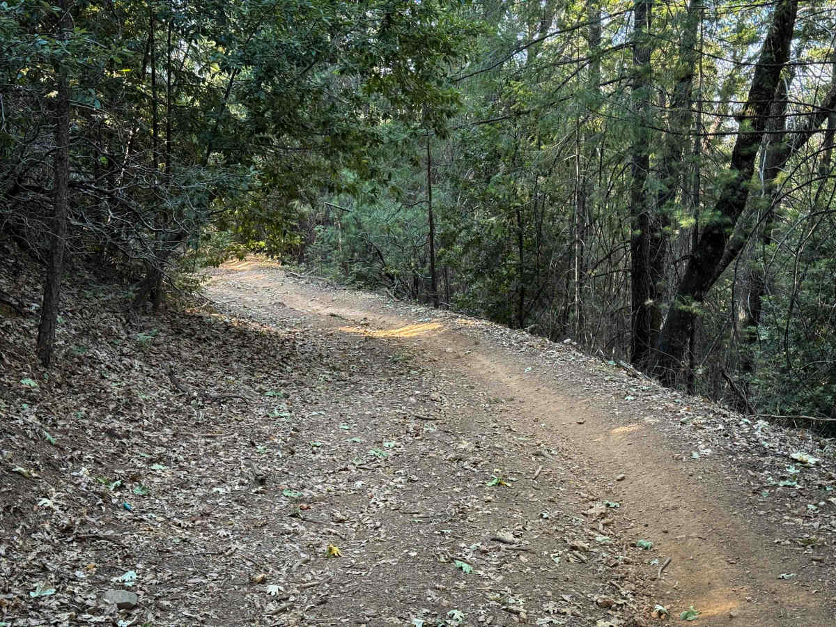 Trail 6-2 (11E52)  photo 6