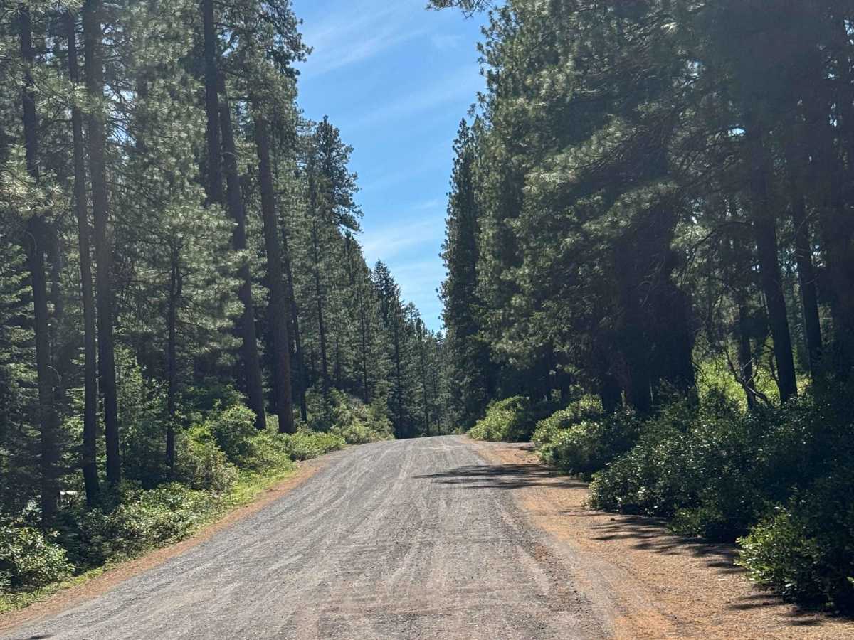 Suttle Lake South - FS 2066 trail photo