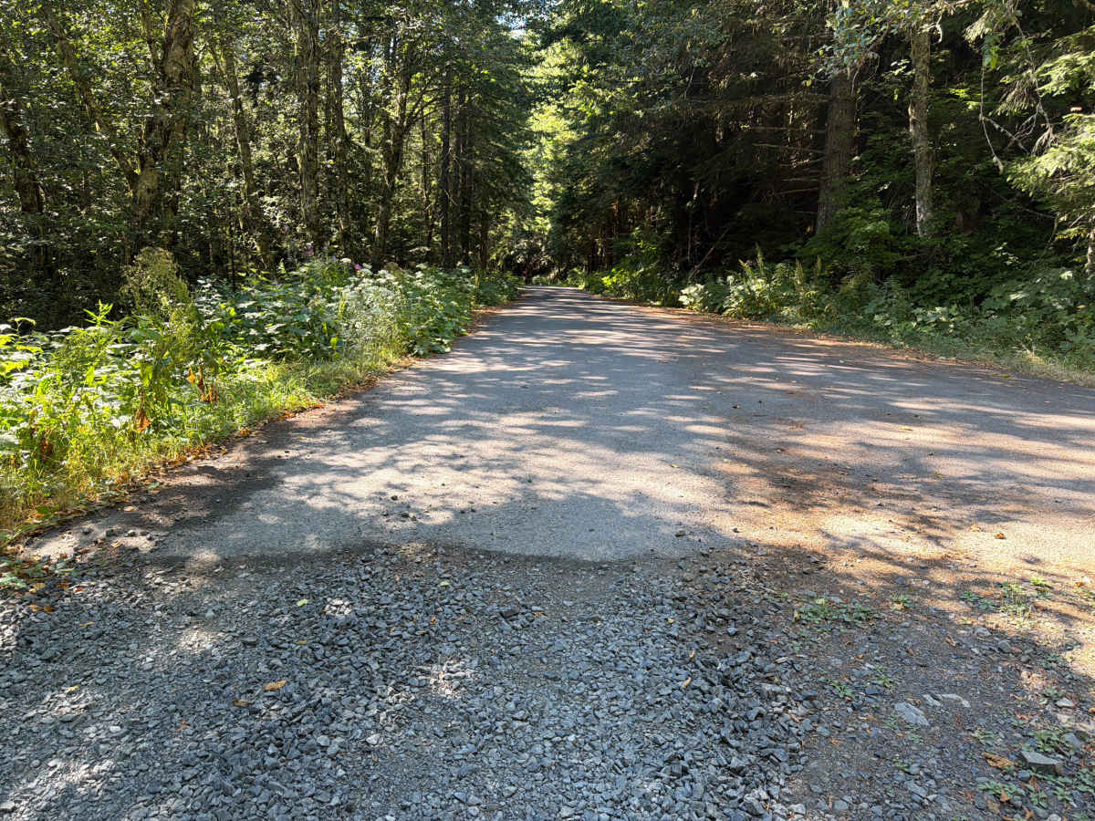 Upper Neal Creek Road photo 4