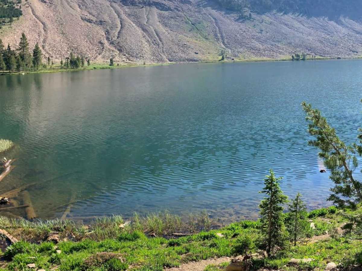 Washington Lake photo 4