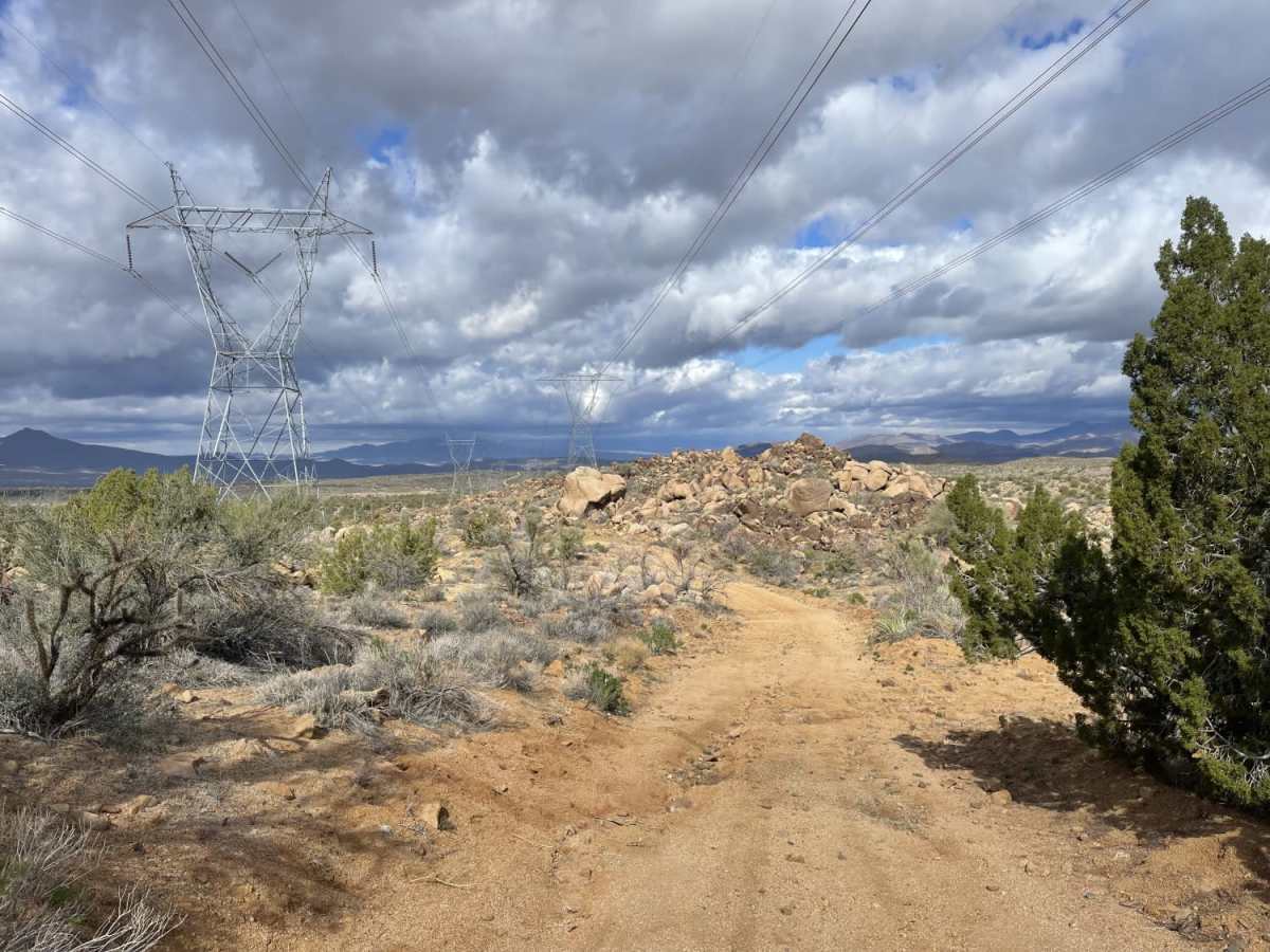 Pole Line Romp photo 6