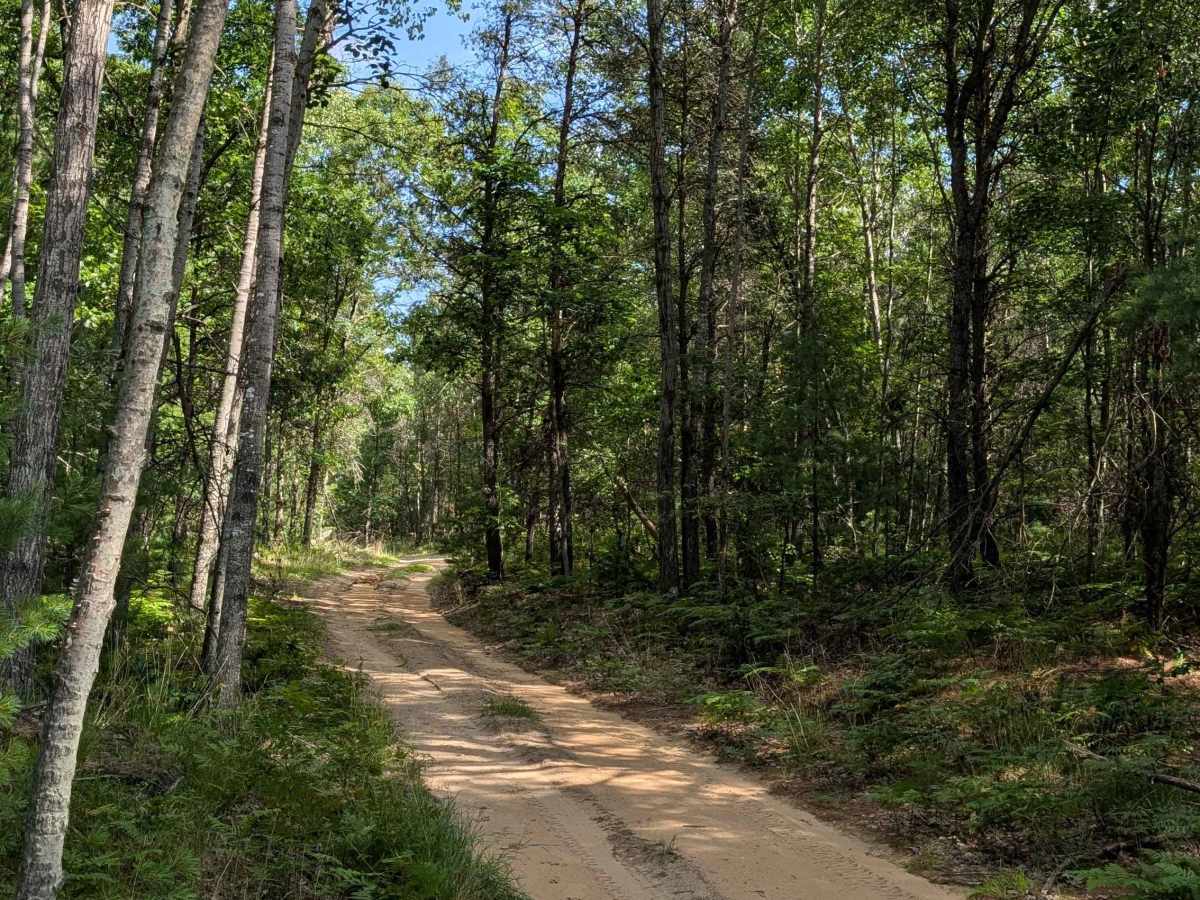 Plains Creek Trail trail photo