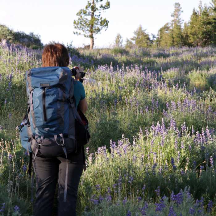 Near Ten Lakes Trail