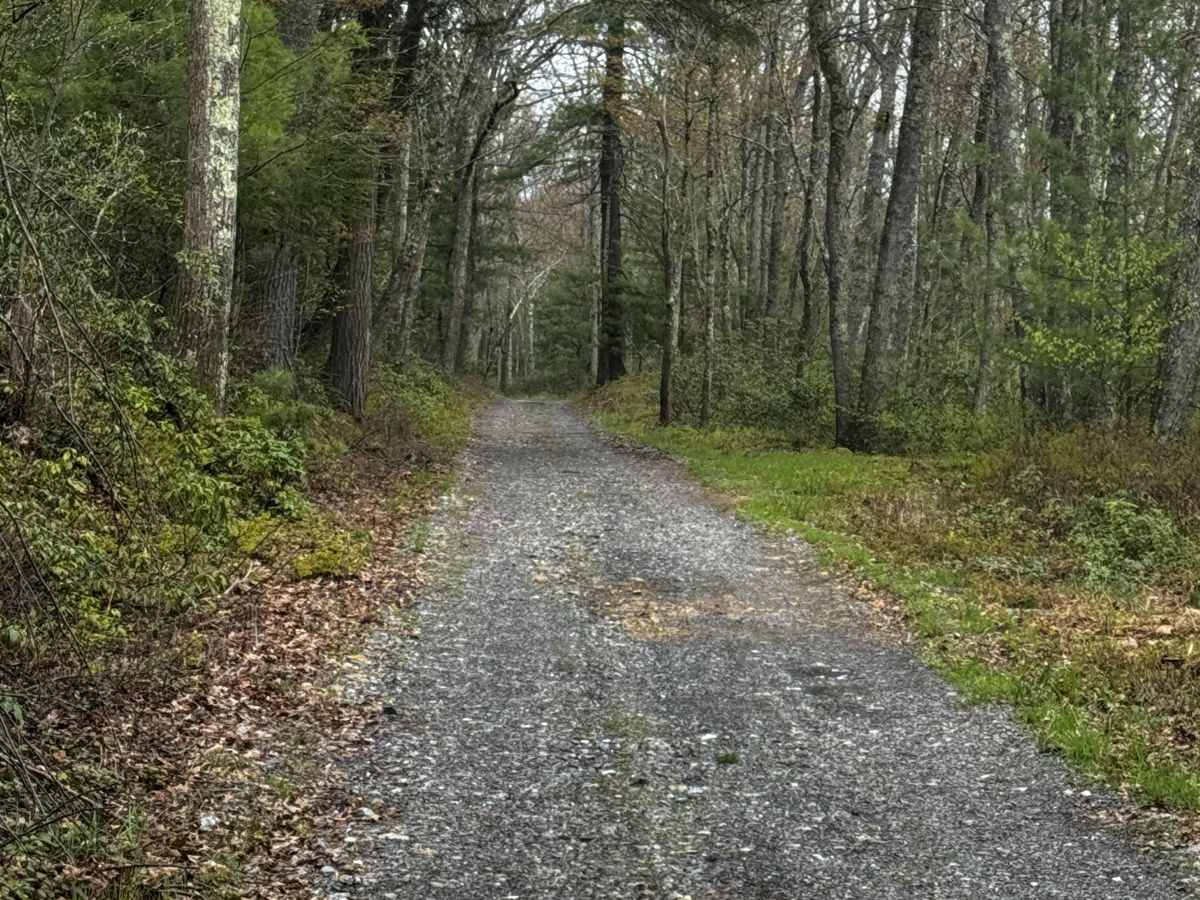 Old Grade Trail photo 5